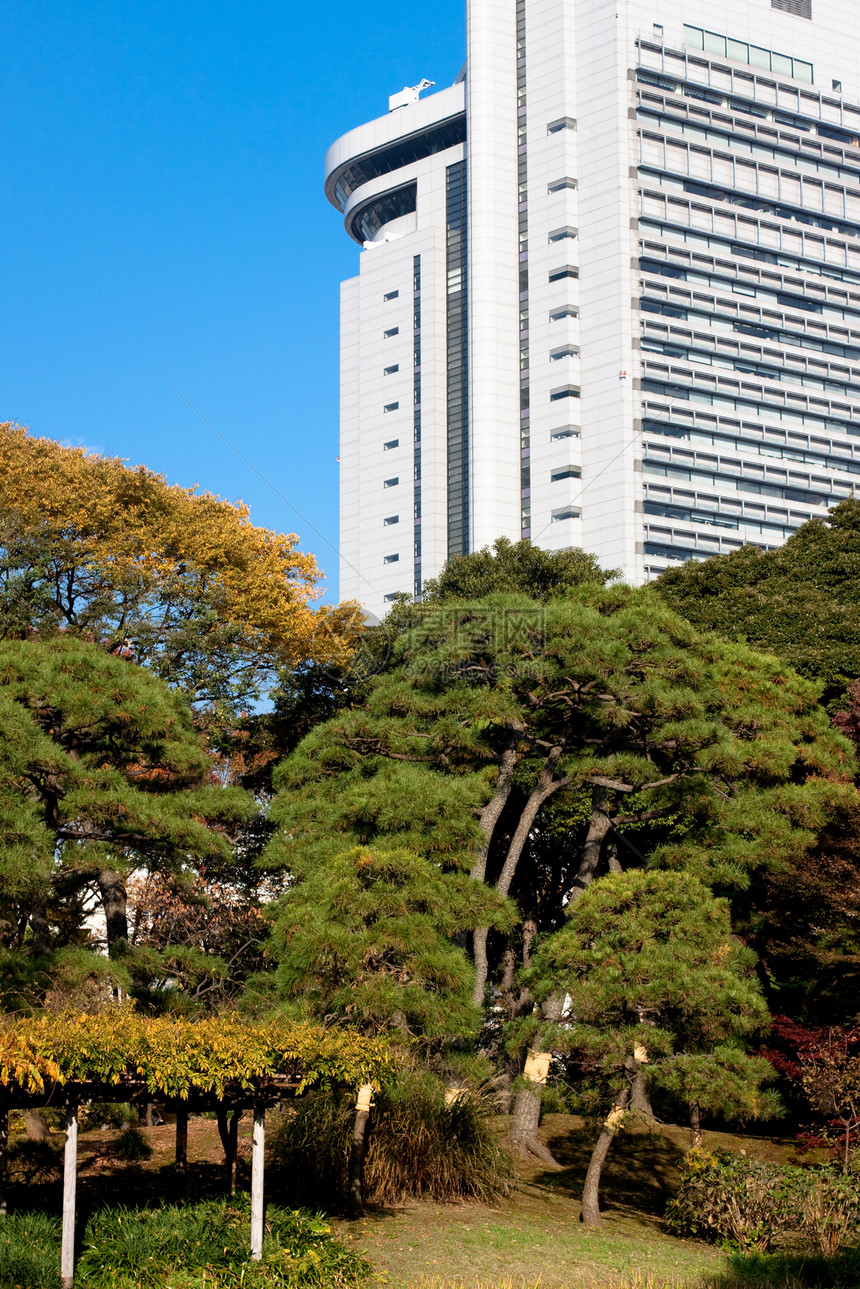 日本秋天公园和摩天大楼蓝色绿色棕色衬套天空建筑图片