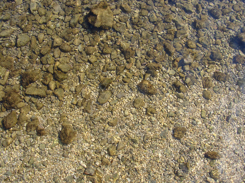落岩底海岸碎石藻类岩石波纹海浪日光太阳黄色棕色图片