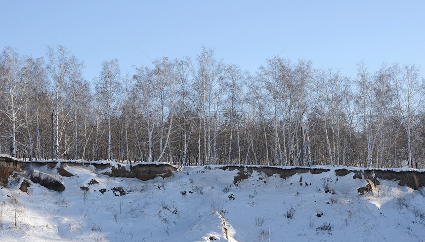 冬季火柴森林小路天气国家气候树枝场景蓝色季节天空图片