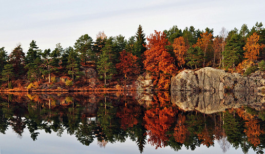 秋季背心山毛榉公园落叶休闲主持人颜色海滩树木桦木背景图片