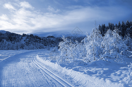 冬季奇幻乐园的滑雪赛车场曲线国家蓝色森林仙境山脉树木越野白色松树背景图片