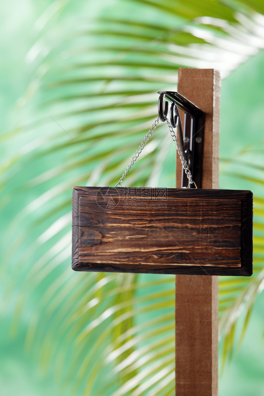 信息媒介标志木柱媒体背景选择性棕榈横幅绿色焦点图片
