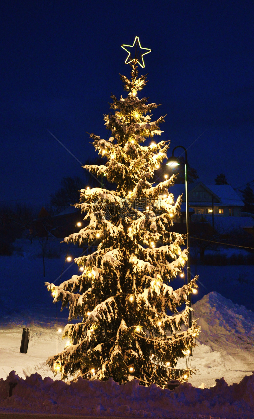 圣诞树彩灯图片