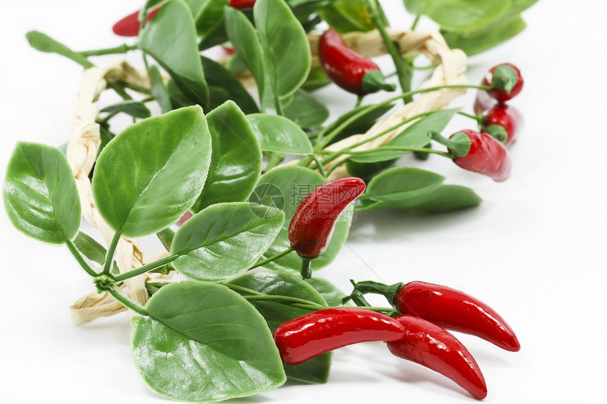 红辣椒蔬菜香料红色绿色烹饪胡椒辣椒植物站立人群图片