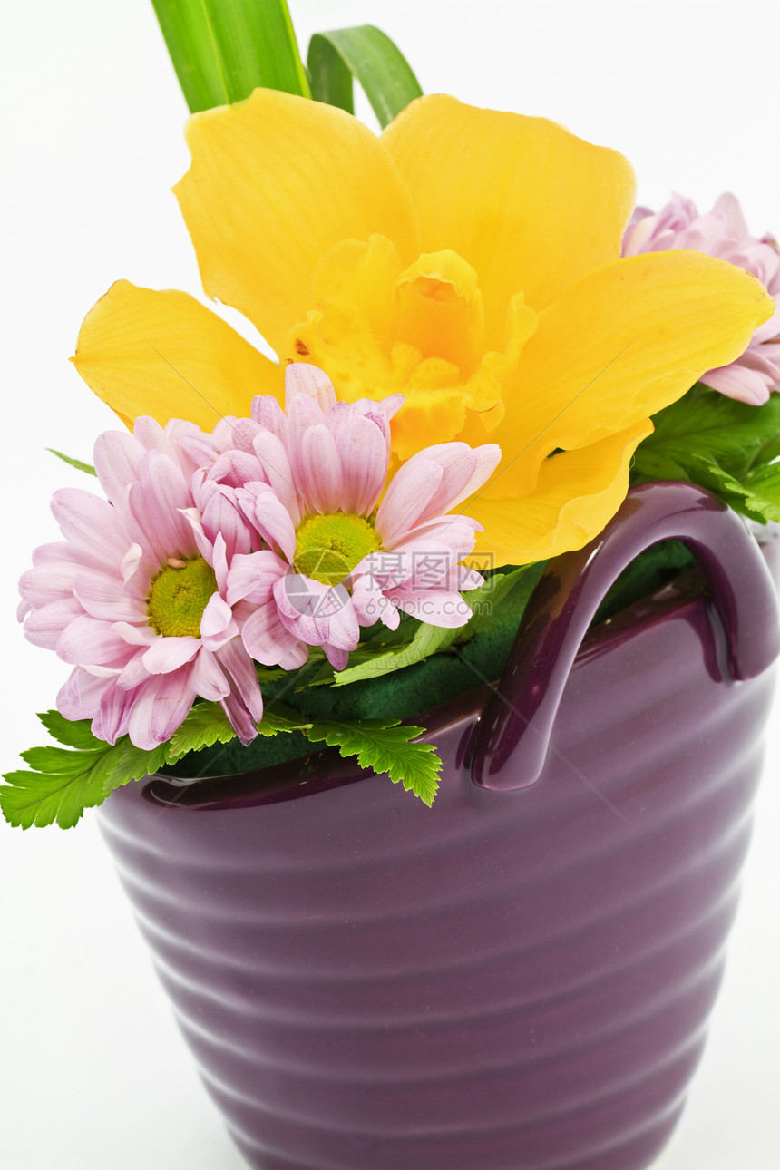 鲜花粉色红花生长陶瓷制品紫色季节花束白色水仙花图片