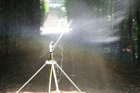 公园的喷水器生长花园途径太阳小路洒水器树篱园艺绿色植物背景图片