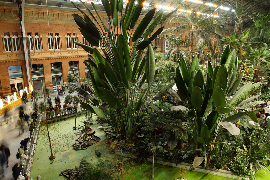 Atocha火车站 西班牙马德里植被树木建筑火车车站房子绿色植物建筑学热带旅行图片