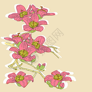 浅背景下的鲜嫩花朵花兰花手绘卡片传统问候语绘画叶子邀请函兰花花园装饰背景图片