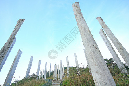 波罗密多心经智慧道-蓝色树干上的中国祈祷文背景