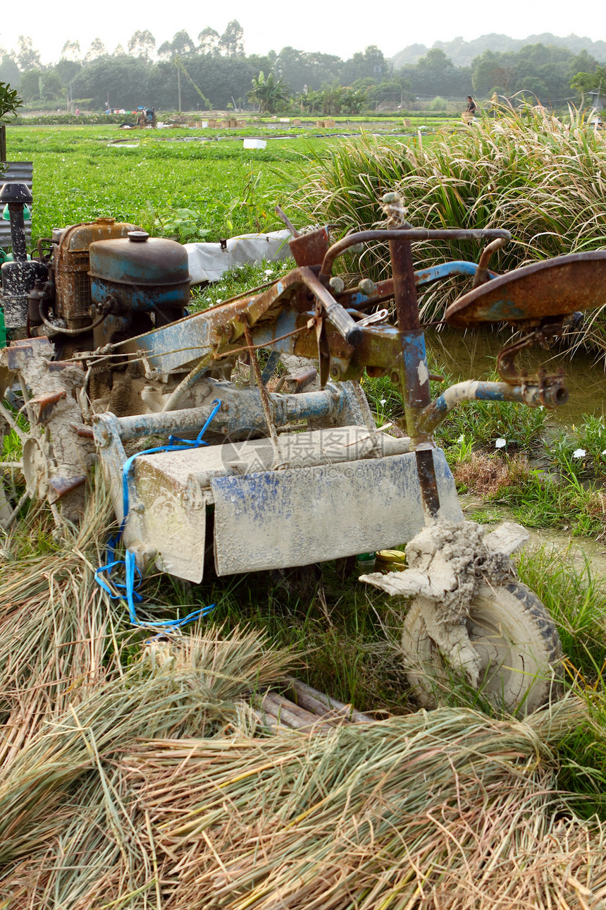 稻田拖拉机绿色农场反射种植园场地培育白色工作国家农村图片