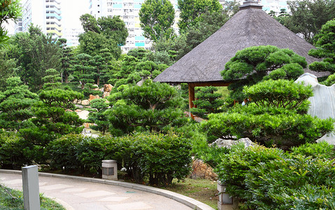 城市美化城市中中国风格公园尼姑庵佛教徒池塘园林院子寺庙鲤鱼途径文化人行道背景