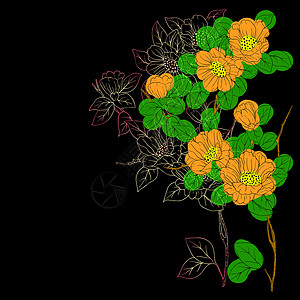 花艺花框架手画背景 带有幻想花框架叶子墙纸装饰植物草图繁荣墨水漩涡风格插画