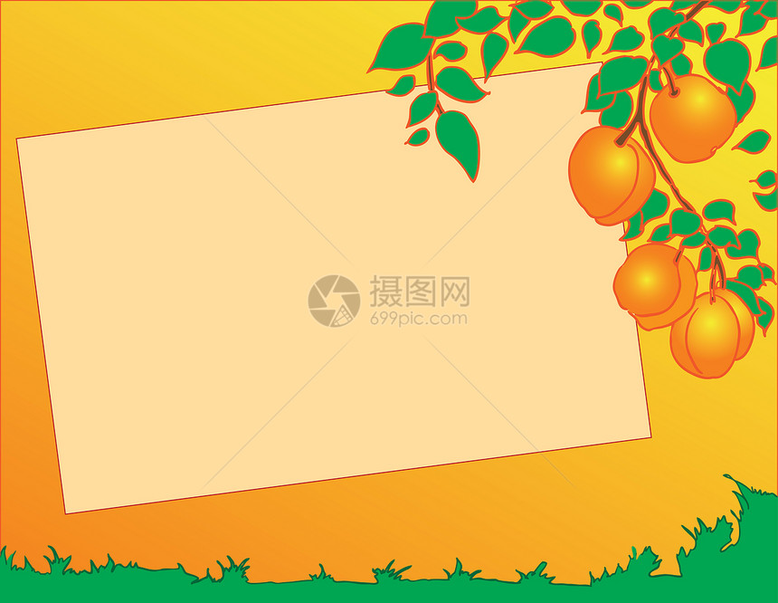 树上的桃子数字绿色植物水果橙子枝条插图营养食物叶子图片