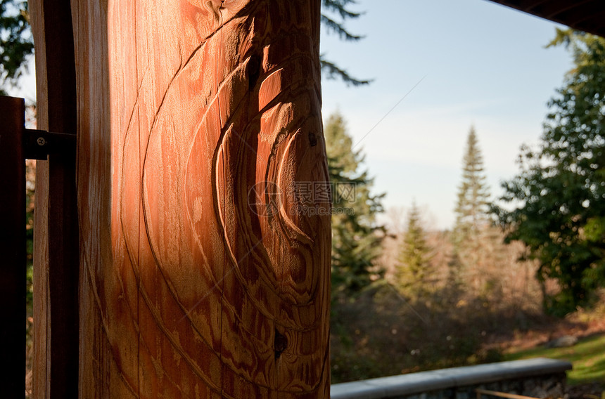 华盛顿公园阿伯尔图结构建筑学公园邮政雕刻木头季节季节性植物学树木叶子图片