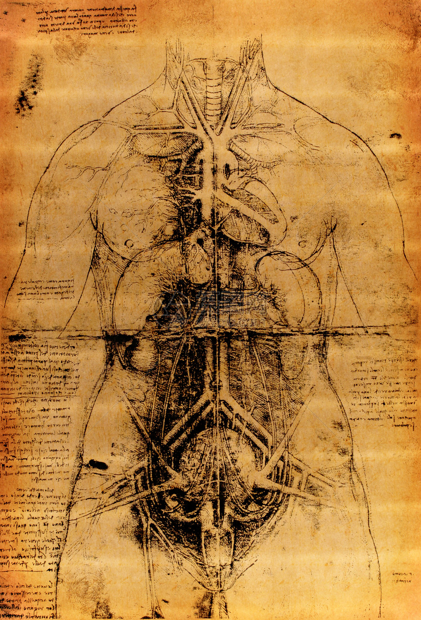 人马正方形解剖学金属生物学艺术建筑学绘画圆圈身体男人图片