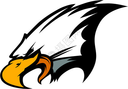 鹰矢量说明的雄鹰头中学插图团队学校鸟类动物鹰派羽毛运动老鹰背景图片