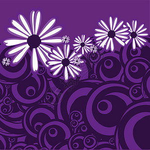 带有花花模式的花紫色雏菊花瓣背景图片