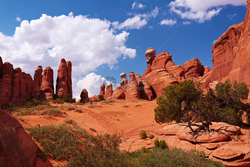 红沙漠背包蓝色太阳岩石橙子风景干旱公园国家编队图片
