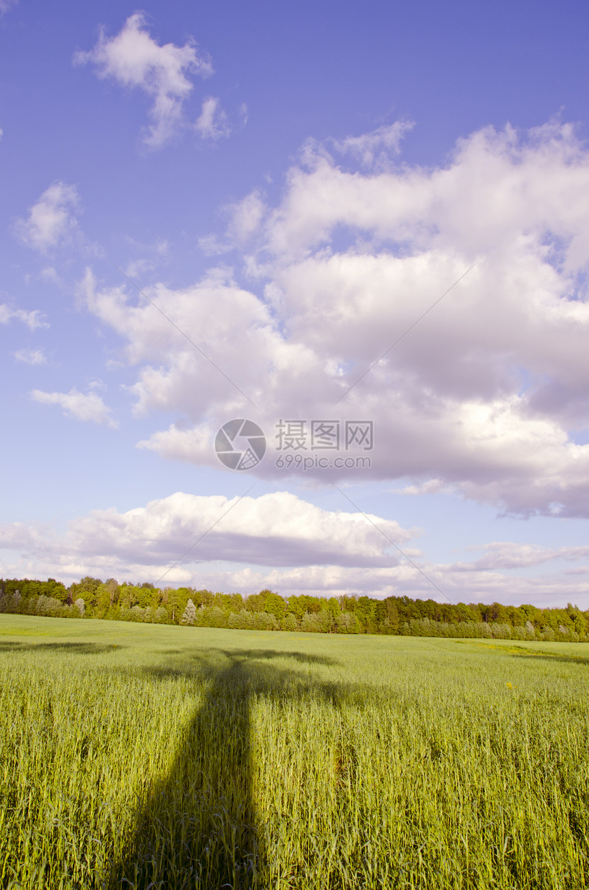 巨大的绿草地和树影 云蓝的天空场景晴天森林阳光蓝色季节场地阴影乡村天气图片