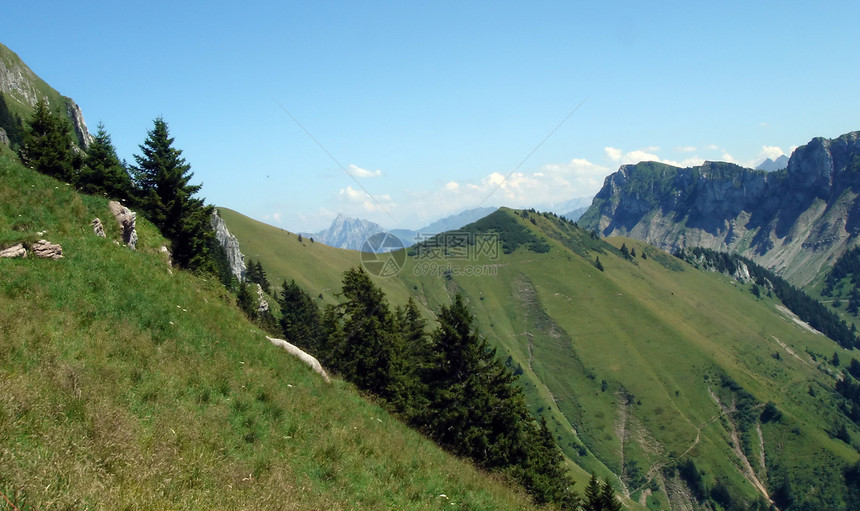 夏季前瑞士阿尔卑斯山季节环境悬崖阳光爬坡高地天空场地森林旅行图片