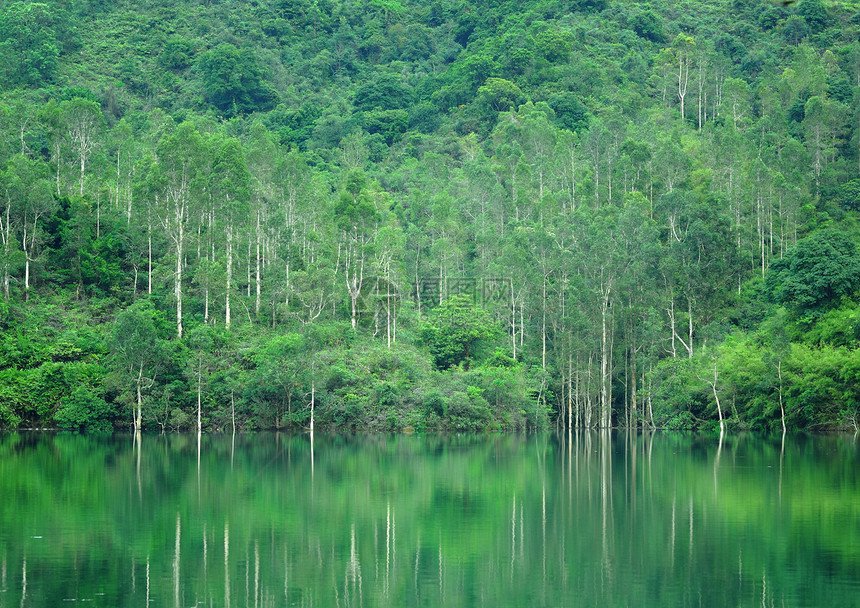 带木柴的湖泊风景公园红色溪流林地植物群环境橙子木头镜子图片