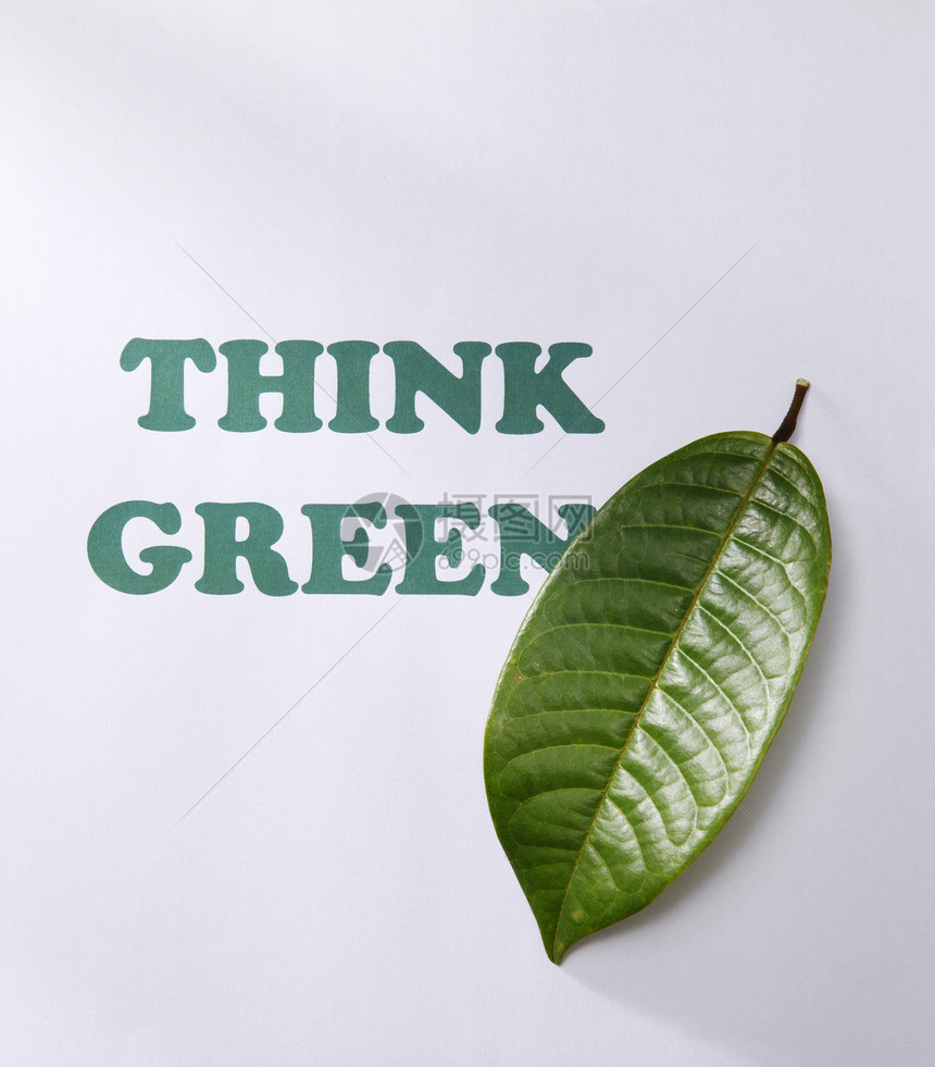 再循环回收环境保护绿色叶子废纸图片