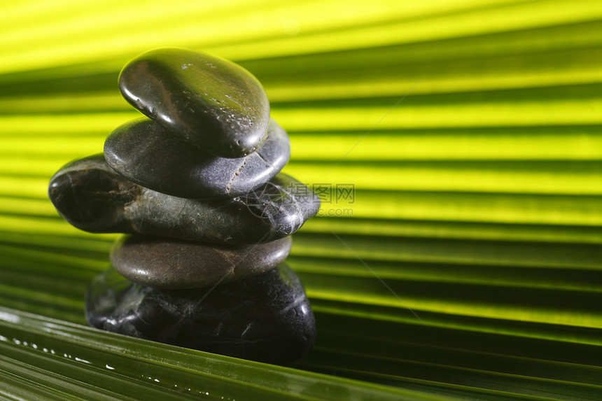 赞美容平衡石治疗绿色背光水平生活方式卵石叶子平衡图片