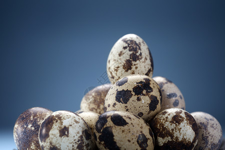 Quail 鸡蛋食物焦距背景焦点烹饪金字塔水平鹌鹑蓝色背景图片