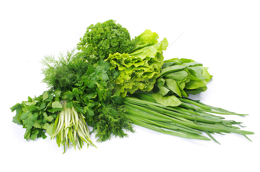 草药工作室草本植物绿色食物百里香白色香料药品叶子团体图片