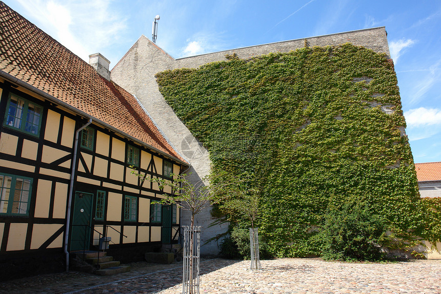被常春藤覆盖的房屋墙壁衬套花园房子登山者环境建筑学绿色植物生长砖墙植物群图片