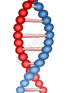 dna粒子DNA分子 与世隔绝的遗传信息背景