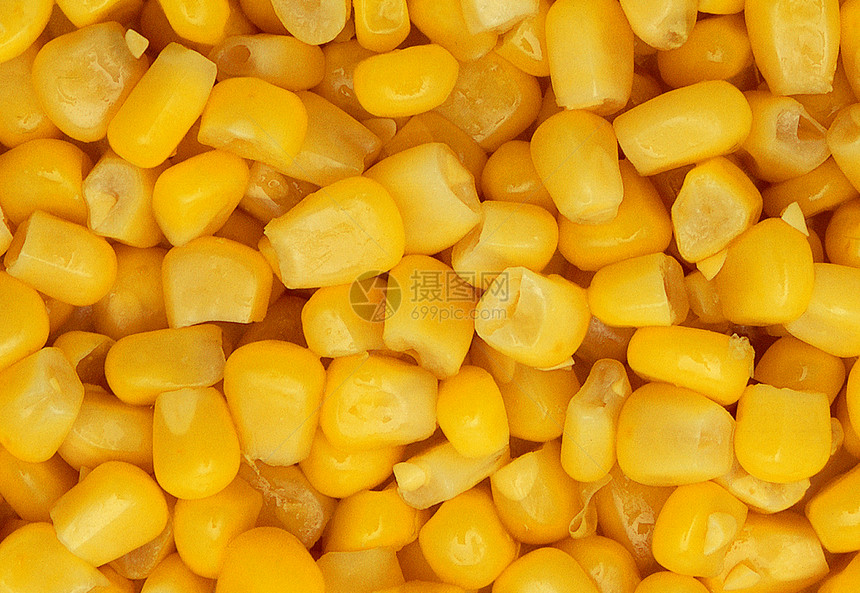 玉米背景图像图片