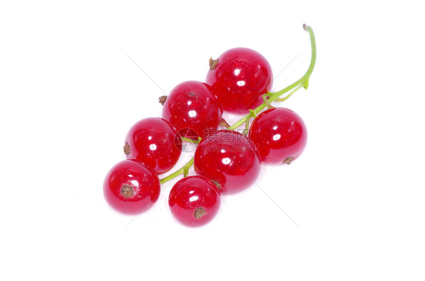 红色曲线叶子植物种子团体甜点蔬菜食物白色水果收获图片