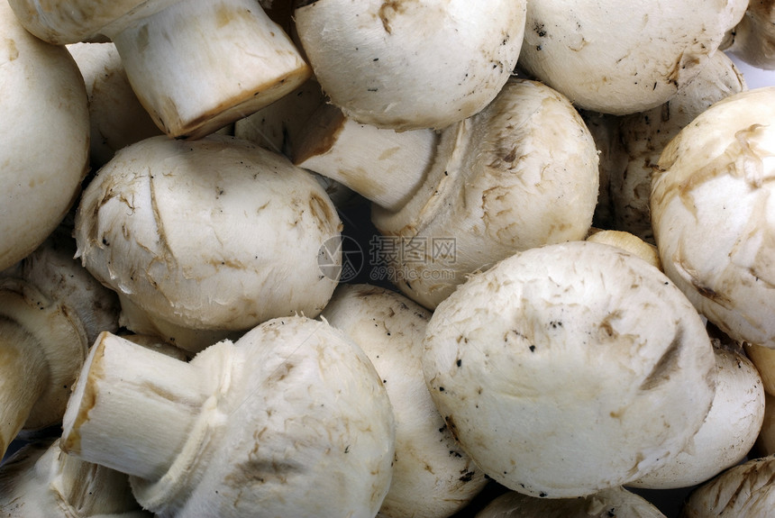 食用玉米卷蘑菇作为食物背景图片