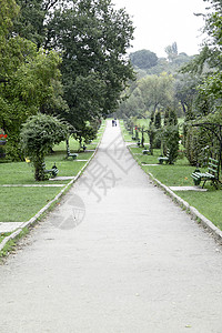 公园街车道小路风景树叶季节天篷分支机构远足森林地毯高清图片