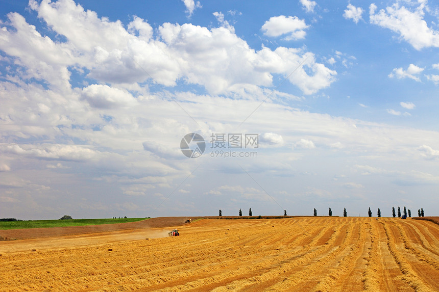 农业景观 机械收割小麦 欧洲图片