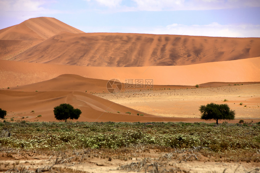 非洲纳米布努克卢夫国家公园附近纳米比亚纳苏韦莱北部的红沙丘图片