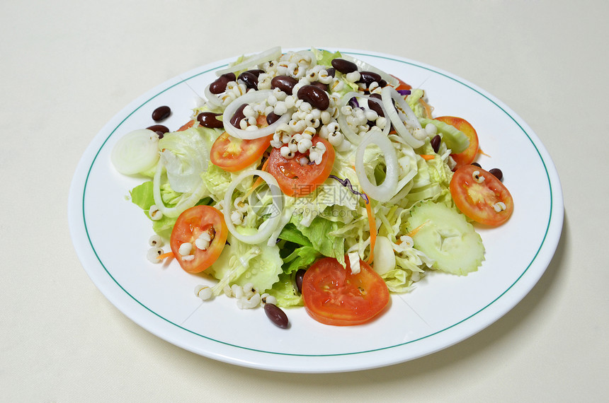 蔬菜沙拉洋葱叶子午餐美食火箭黄瓜菜单盘子餐厅低脂肪图片