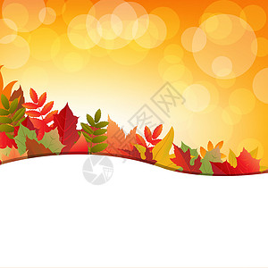 月饼与叶与叶叶相伴的秋季背景分支机构季节植物学生长墙纸剪影木头环境叶子森林设计图片