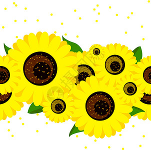 向日葵的图案黄色花瓣树叶花朵绿色背景图片