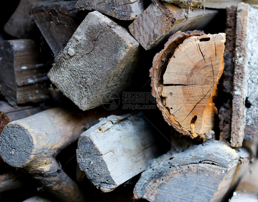 不同森林的地盘圆形木材工业工厂烘干生产商业碎片锯痕网络图片
