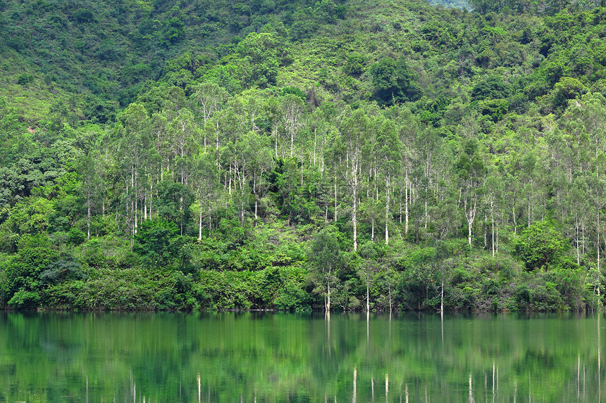 带绿树的湖泊橙子旅行溪流绿色红色季节林地晴天木头叶子图片