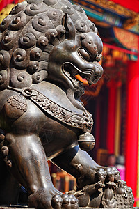 中国寺庙里的青铜狮遗产金属地标文化建筑青铜城市金子房子景点背景图片