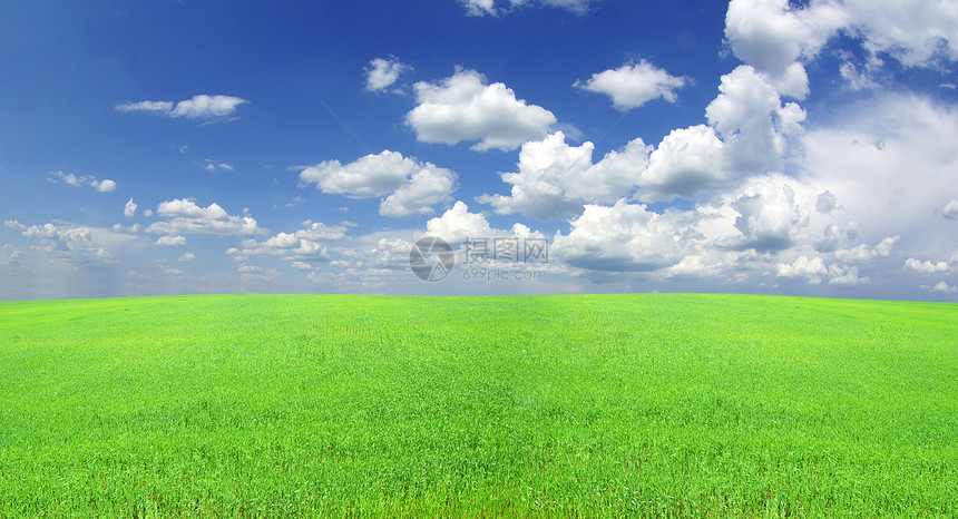 字段绿色农业乡村地平线天气季节农场植物天空全景图片