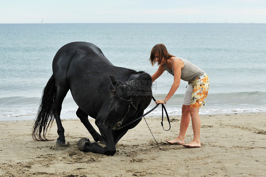 女孩和马在海滩上骑马冒充黑色马戏团宠物舞步动物青少年膝盖图片