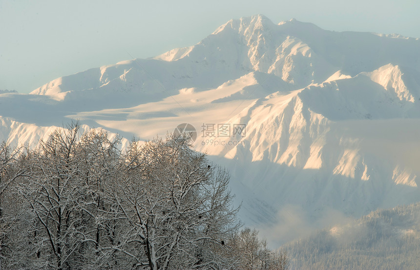 阿拉斯加山脉全景荒野公园旅行野生动物环境天空风景季节顶峰图片