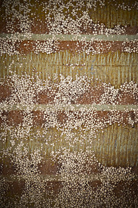 泡沫墙抽象泥板棕色地面木板遗弃背景图片