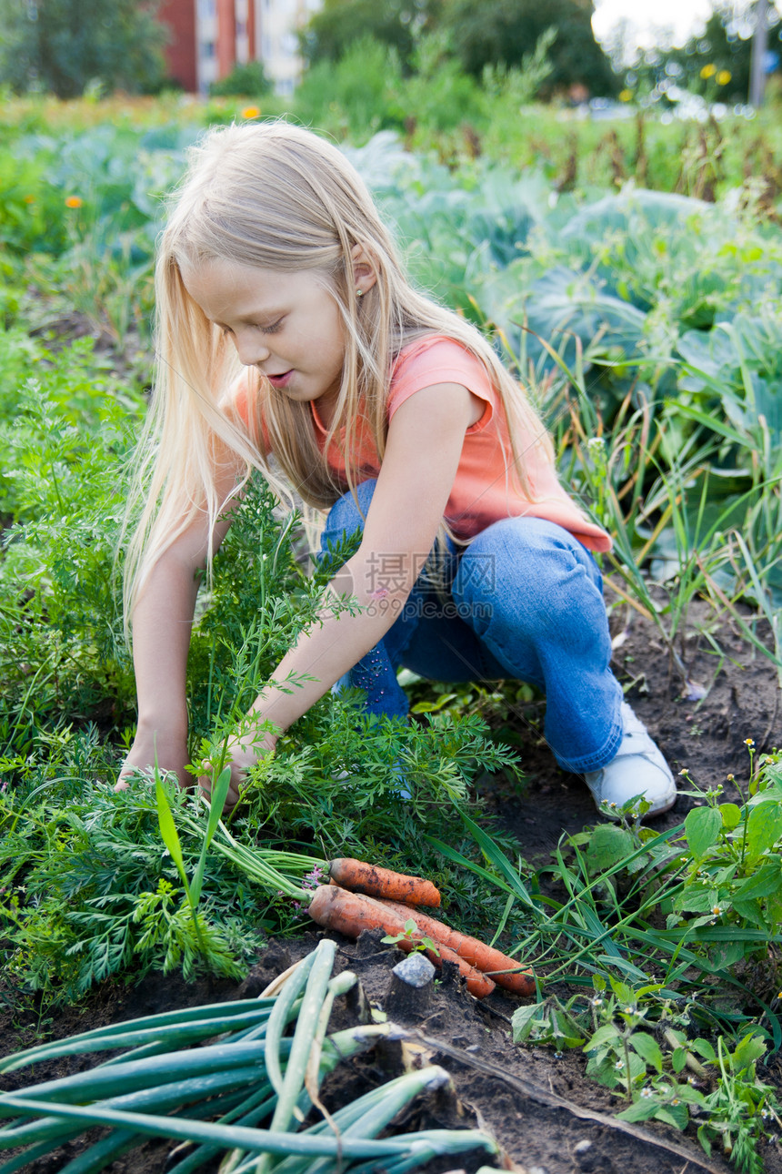 一个在花园里工作的年轻女孩图片