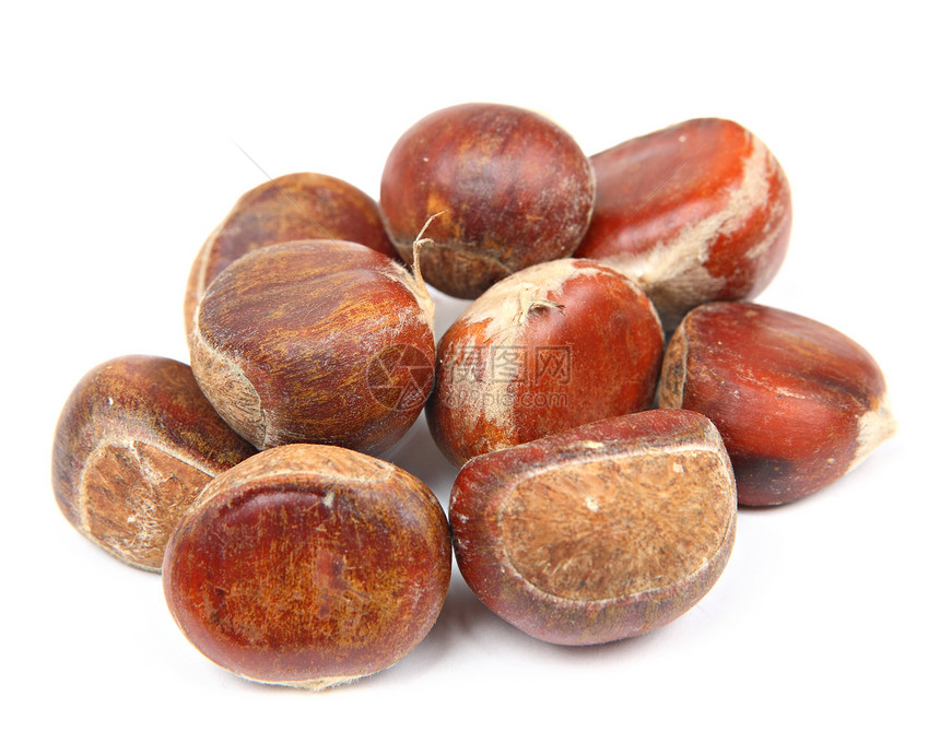 孤立的栗子棕色季节食物水果板栗白色坚果图片