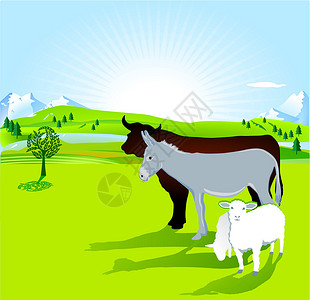 羊小腿驴 公牛和羊羔插画